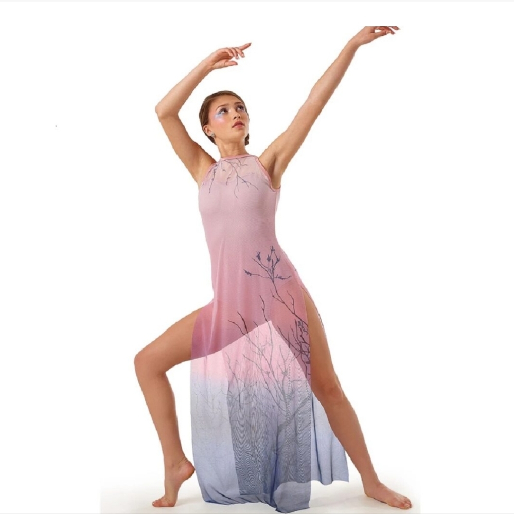 Curtain Call Dancer's Wear Dress